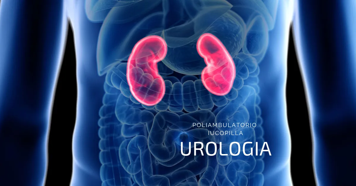 Urologia