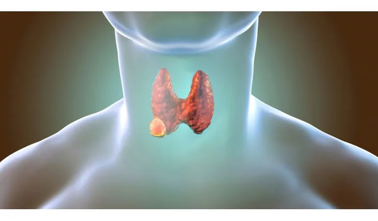 Endocrinologia