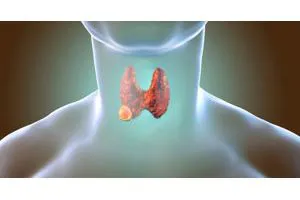 Endocrinologia
