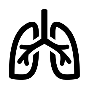 Pneumologia 