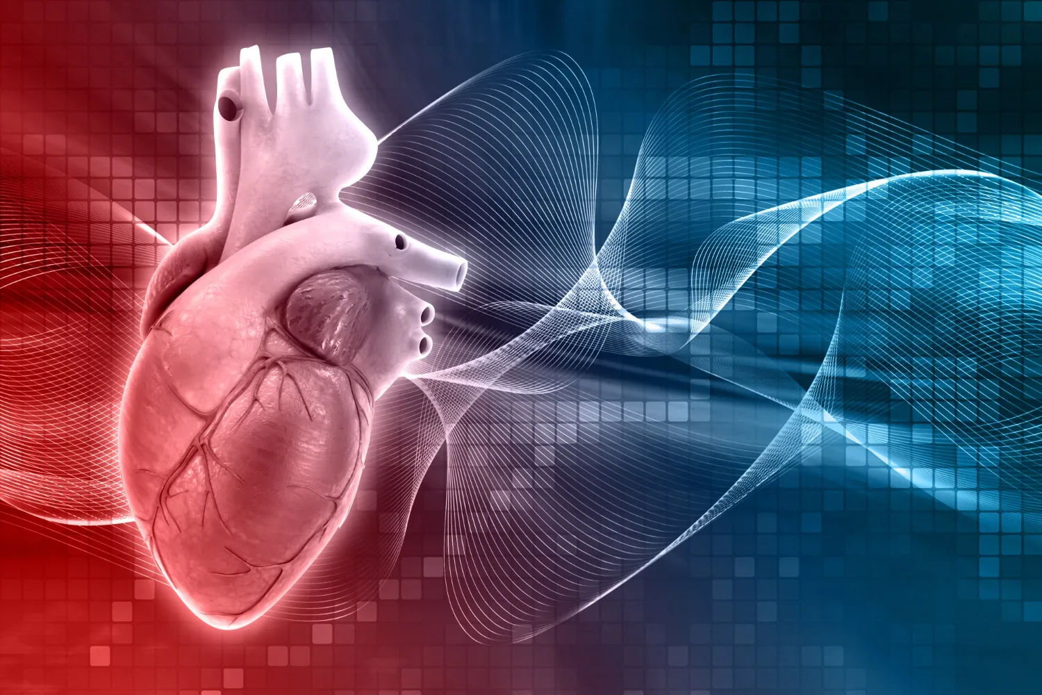 Cardiologia e Diagnostica Cardiologica