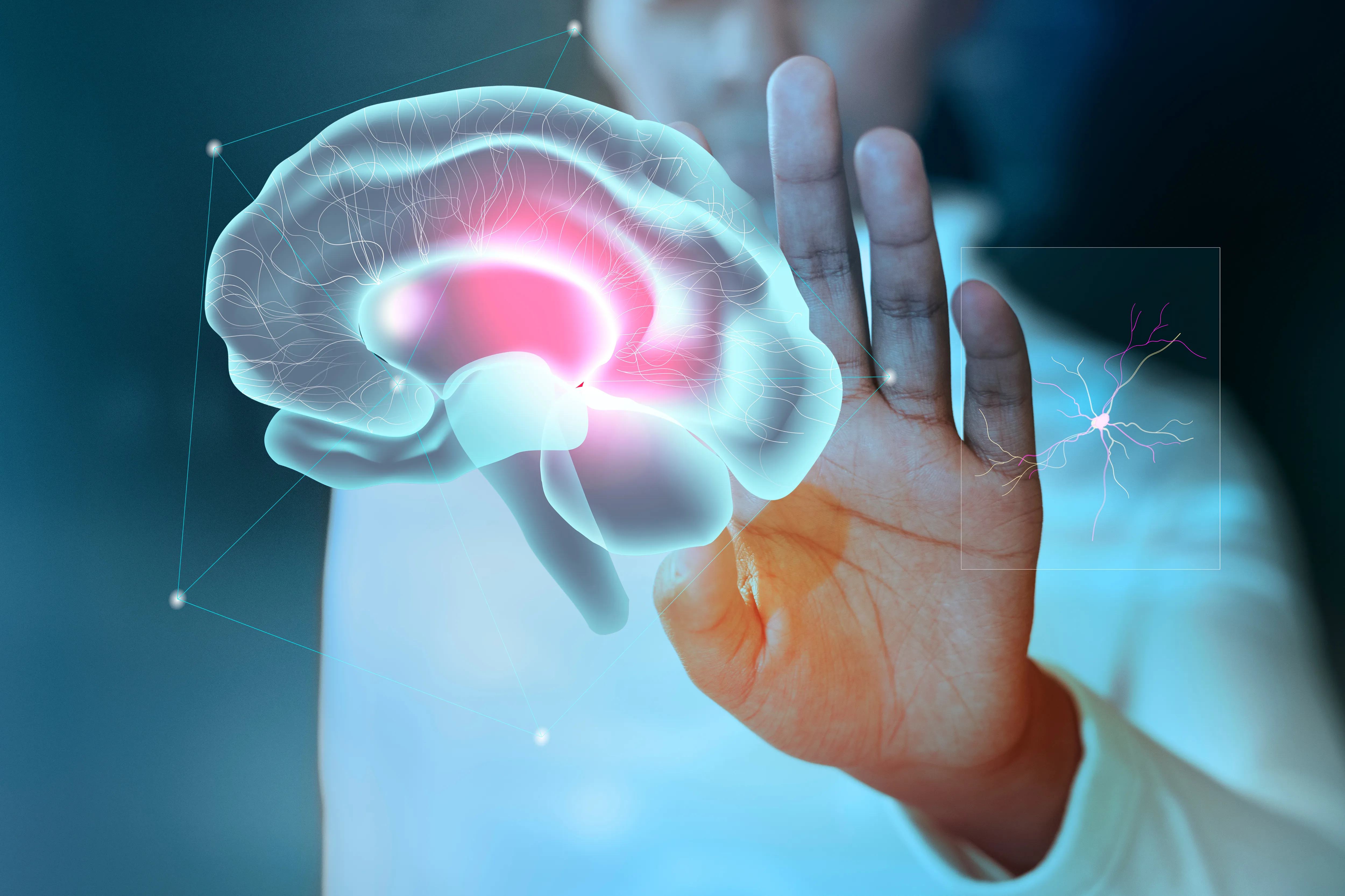 Neuropsicologia 