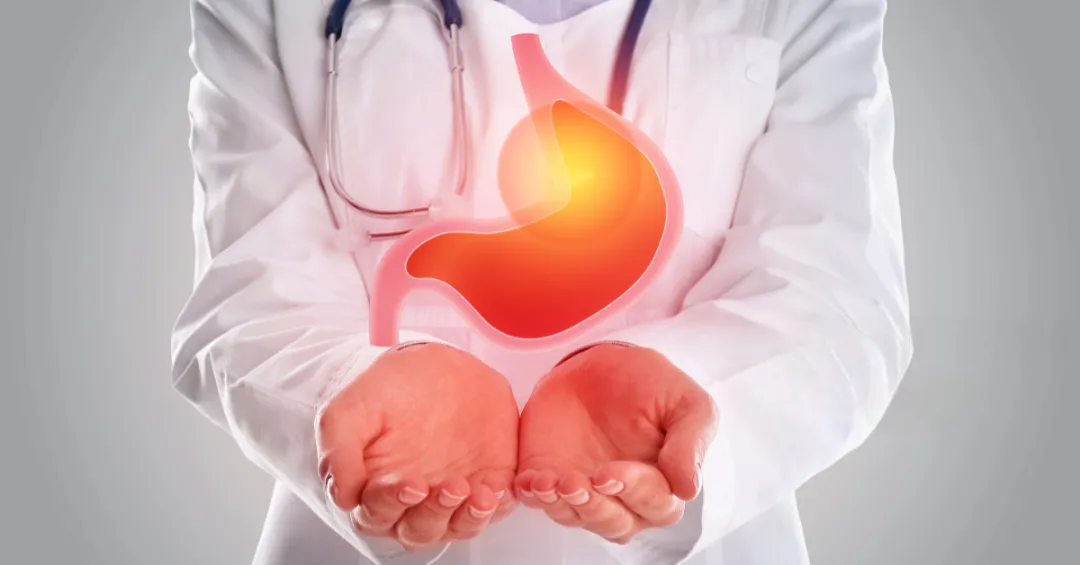 Gastroenterologia