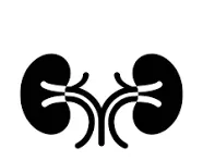 Nefrologia
